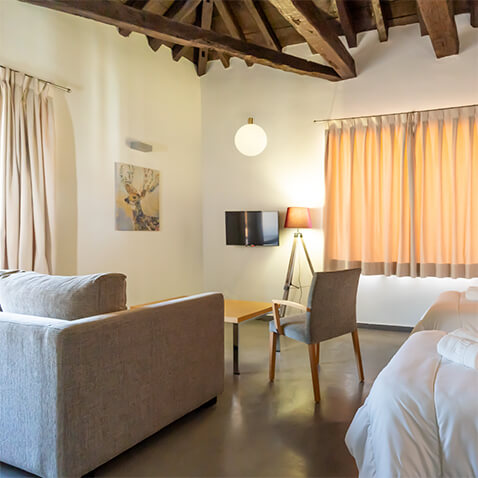Interior de habitación doble con techo de vigas de madera en Inturjoven Cazorla