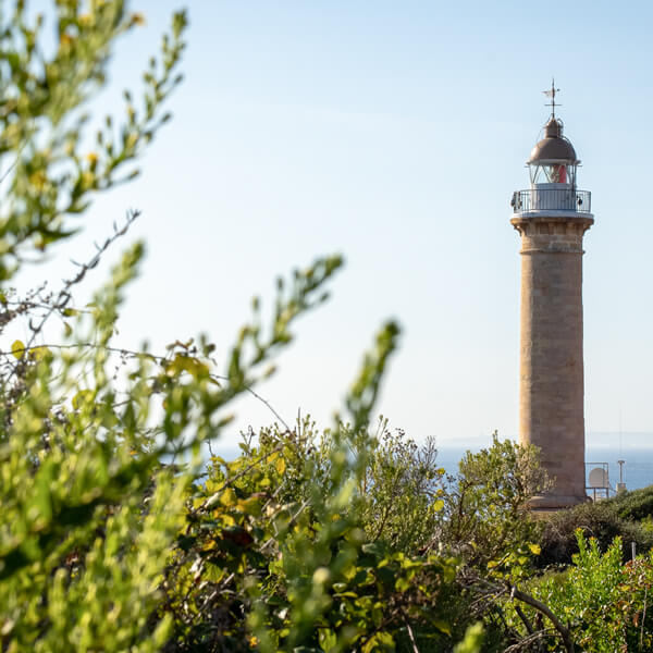 Faro de Punta Carnero