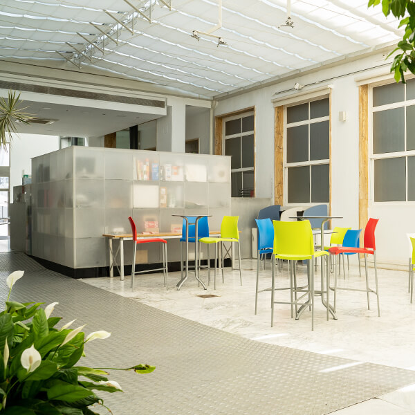 Vista luminosa de la entrada, con zona de estar y pequeña biblioteca.