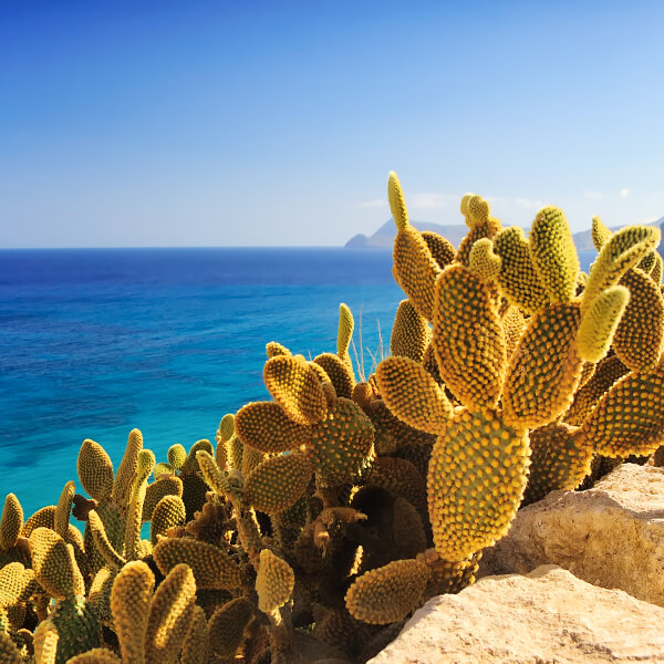 Vista panorámica de la playa