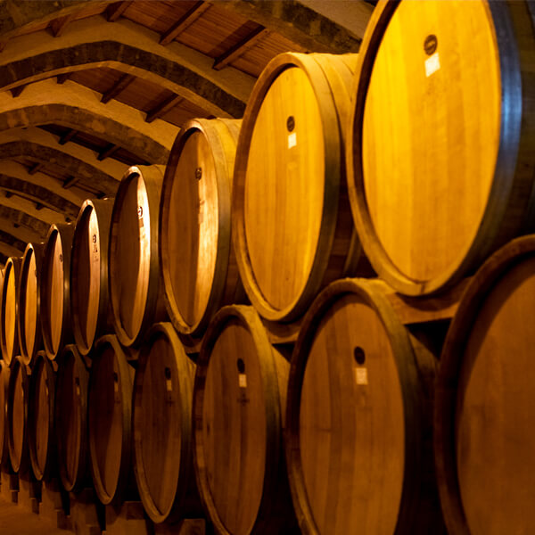 Barriles en interior de bodega