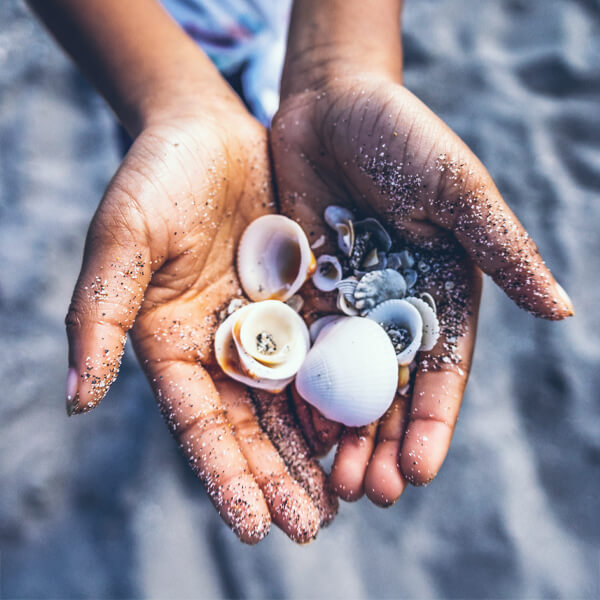 Sosteniendo conchas en las palmas de las manos