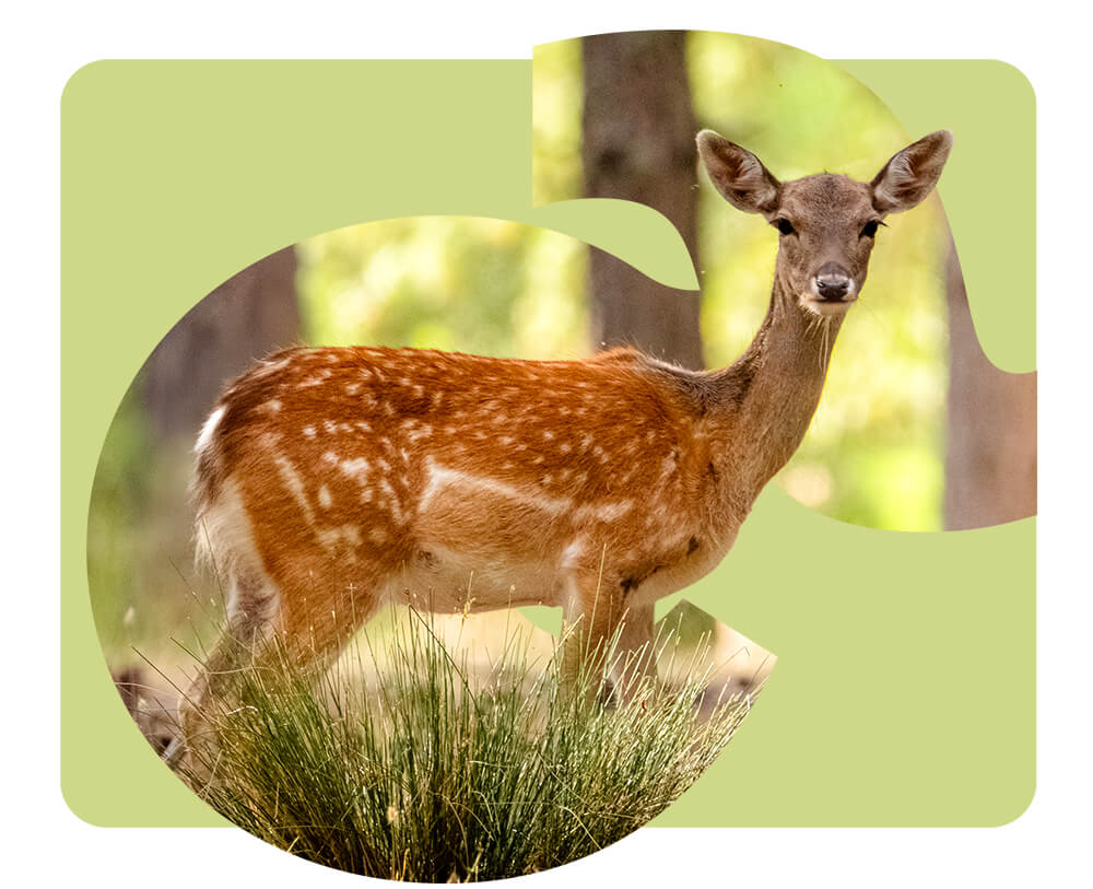 Viajes y Actividades Escolares Cazorla