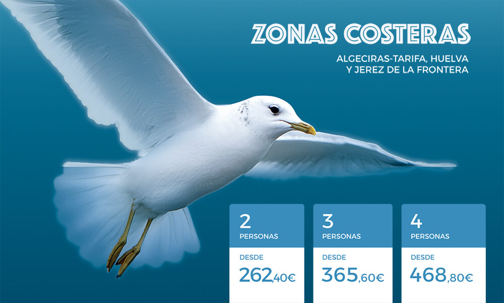 Inturjoven Semana de vacaciones en costa