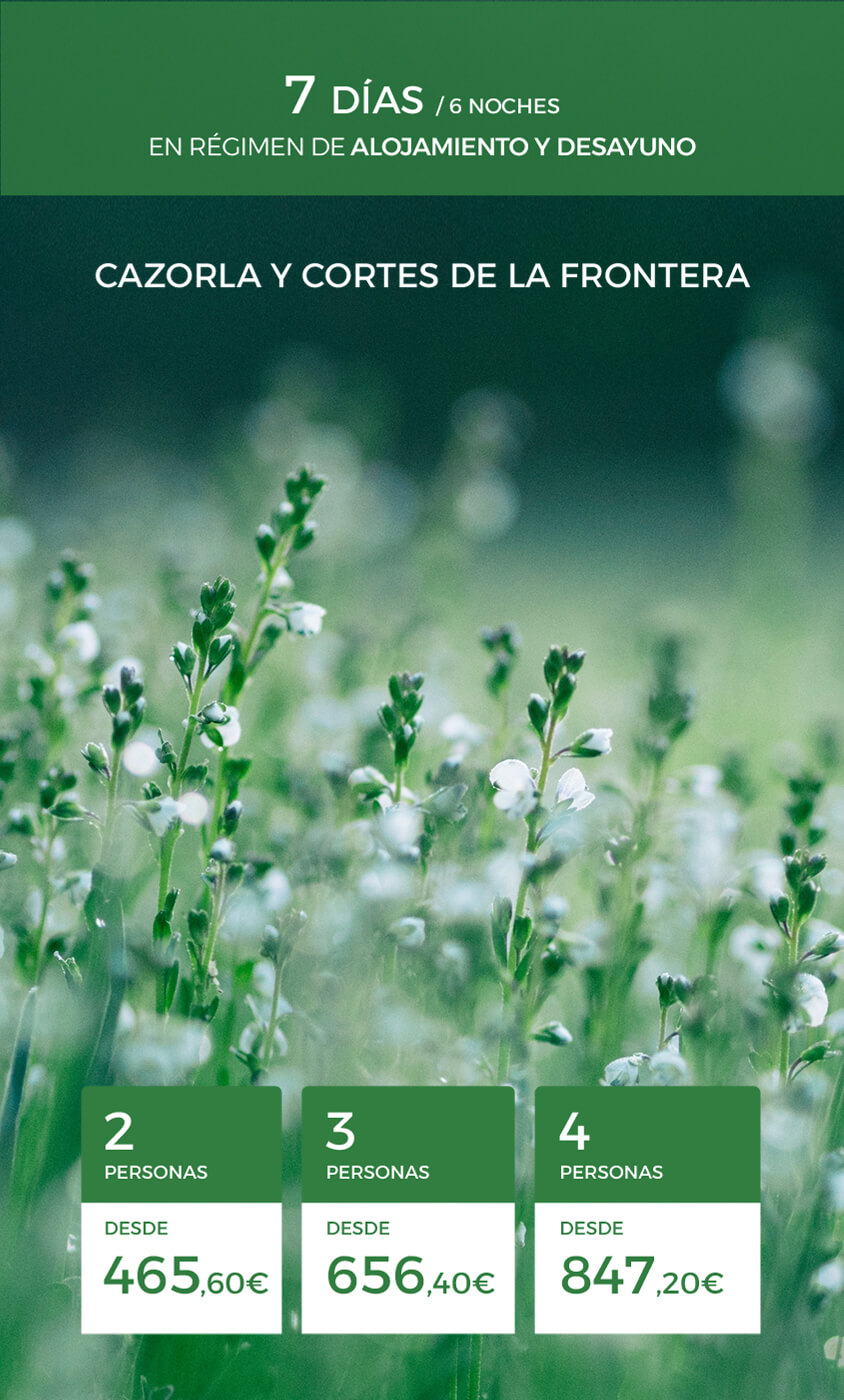 Semana de vacaciones en la naturaleza